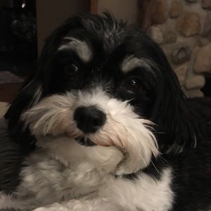 Meet your Posher, Stacey